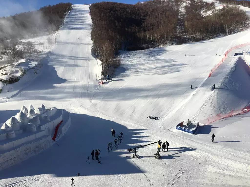 大调查“特种兵”是这样作战的！新葡京娱乐城户外真人秀摄像团队(图2)